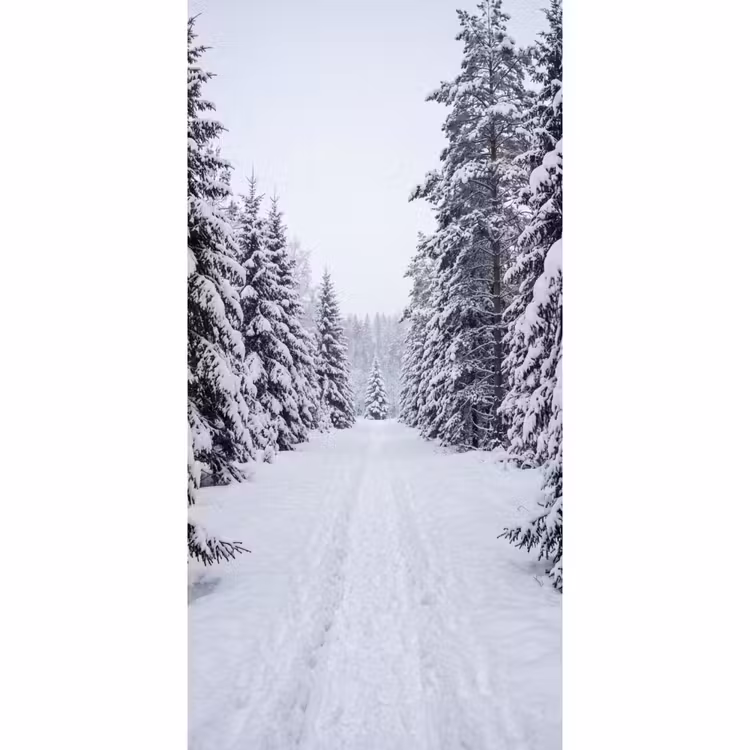 Bos - Winter - Sneeuw - Pad - Natuur Behang Vlies klein -3d_website
