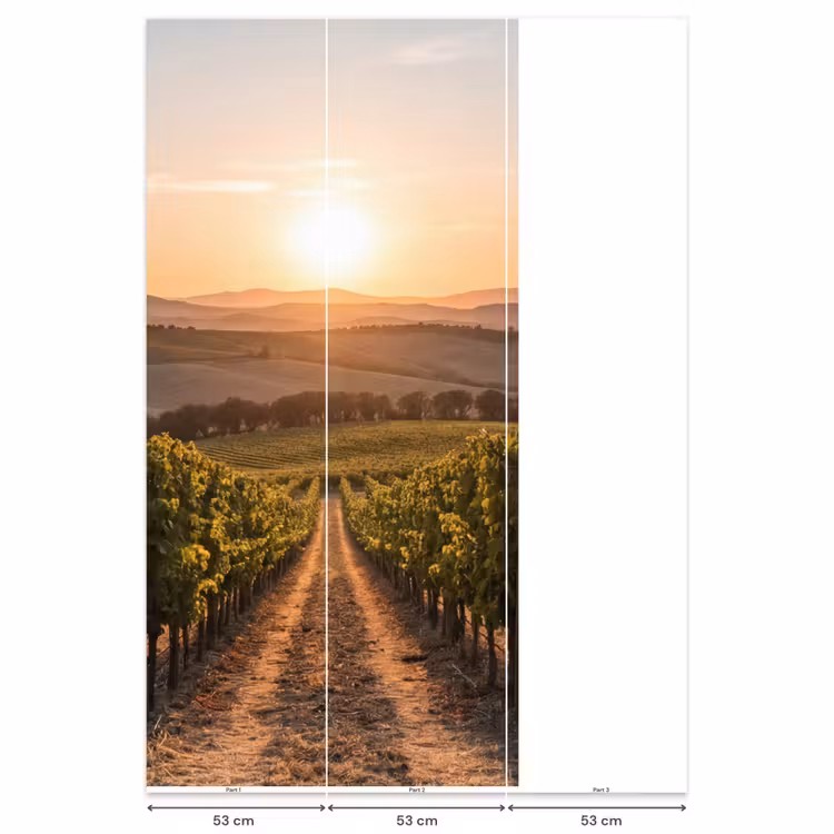 Wijngaard - Zonsondergang - Landschap Behang Vlies klein -USP_banen