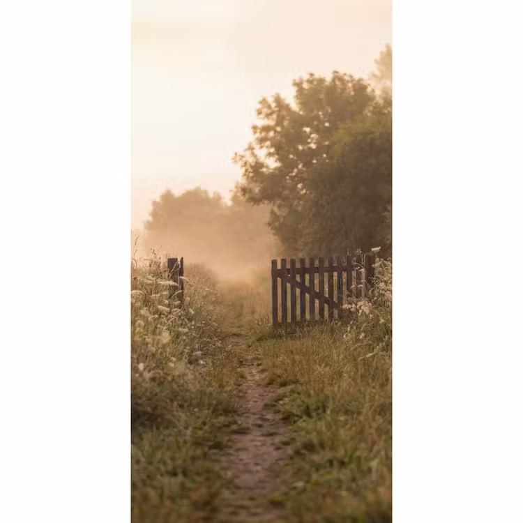 Hek - Natuur - Mist - Veld Behang Vlies klein -3d_website