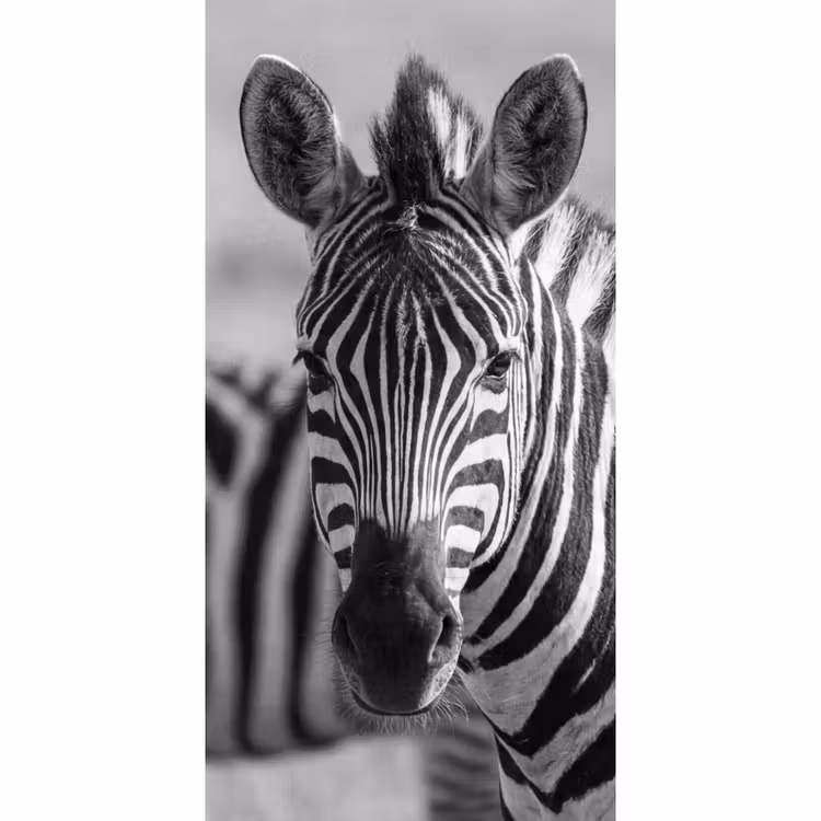 Zebra's - Zwart - Wit Behang Vlies klein -3d_website
