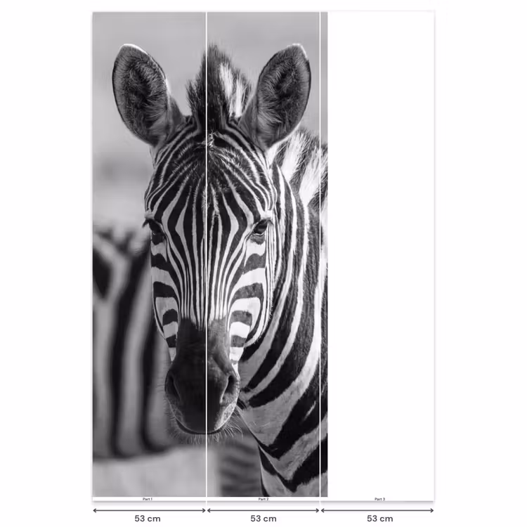 Zebra's - Zwart - Wit Behang Vlies klein -USP_banen