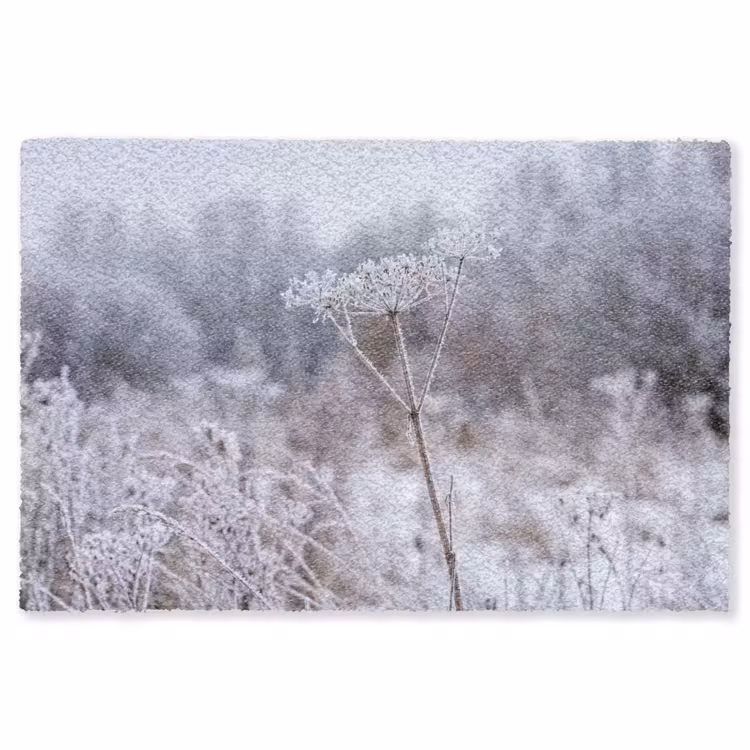 Schermbloem - Rijp - Kristallen - Winter - Delicaat Vloerkleed Rechthoek klein -3d