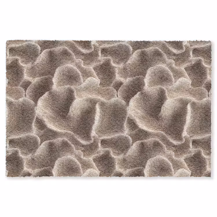 Waaiervorm - Beige - Vezel textuur Vloerkleed Rechthoek klein 1091 -3d