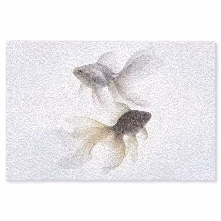 Goudvissen - Modern - Wit Vloerkleed Rechthoek klein -3d