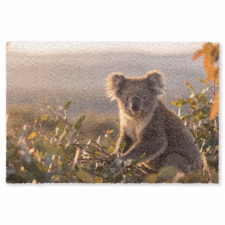 Koala - Bladeren - Ochtendlicht Vloerkleed Rechthoek klein -3d