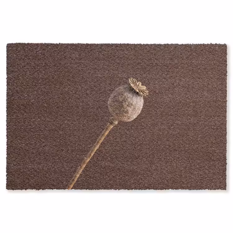 Papaverbol - Droogbloem - Bruin - Minimalistisch Vloerkleed Rechthoek klein -3d