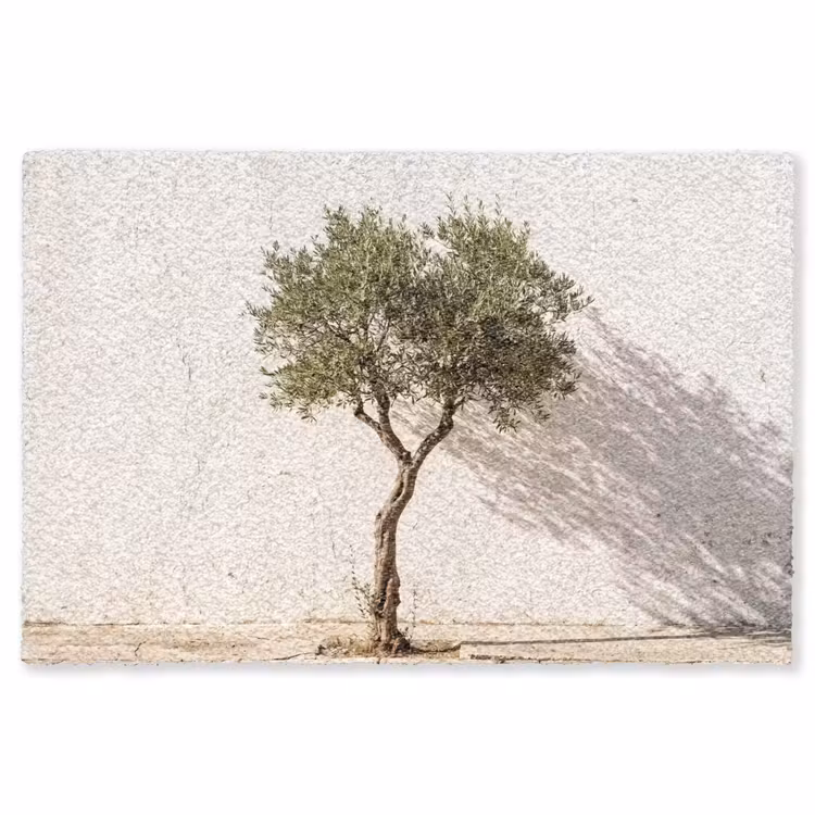 Teppich - Olivenbaum – Wand – weiß - Olijfboom - muur - wit Vloerkleed Rechthoek klein