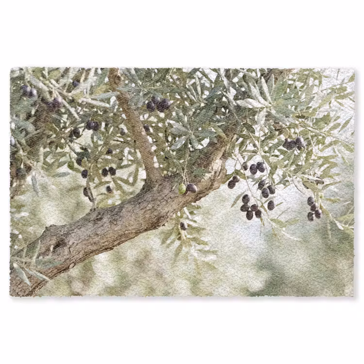 Teppich - Olivenbaum – Zweig – grün - Olijfboom - tak - groen Vloerkleed Rechthoek klein