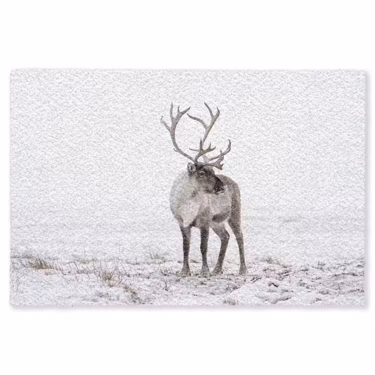 Rendier - Gewei - Sneeuw - Winter Vloerkleed Rechthoek klein -3d