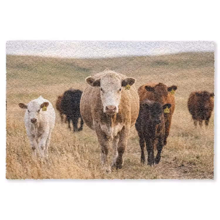 Runderen - Kudde - Landschap - Weide - Rustig Vloerkleed Rechthoek klein -3d