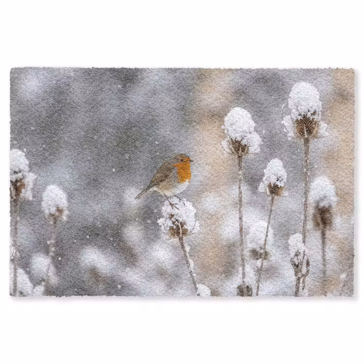 Roodborstje - Gedroogde bloem - Sneeuw - Winter - Vertederend Vloerkleed Rechthoek klein -3d