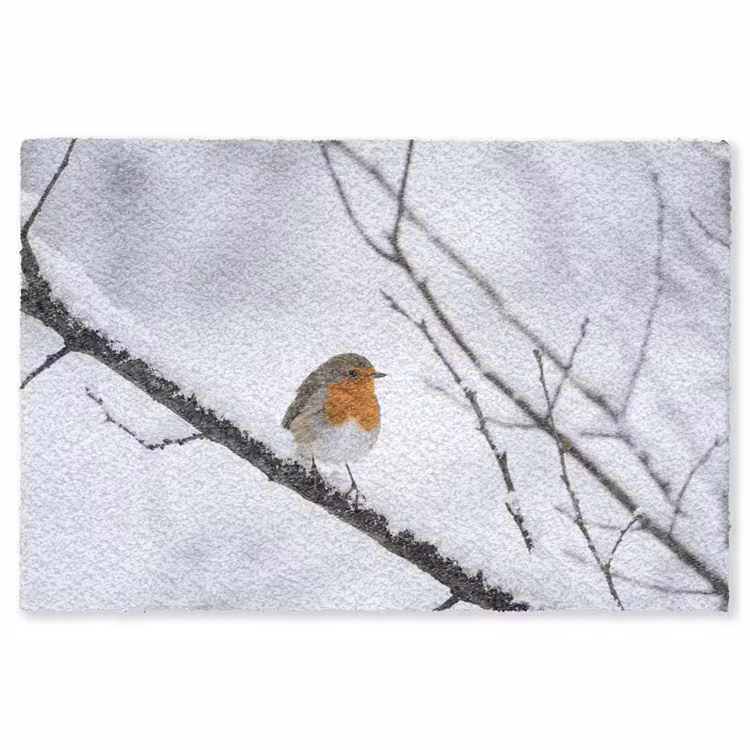 Roodborstje - Tak - Sneeuw - Winter - Levendig Vloerkleed Rechthoek klein -3d