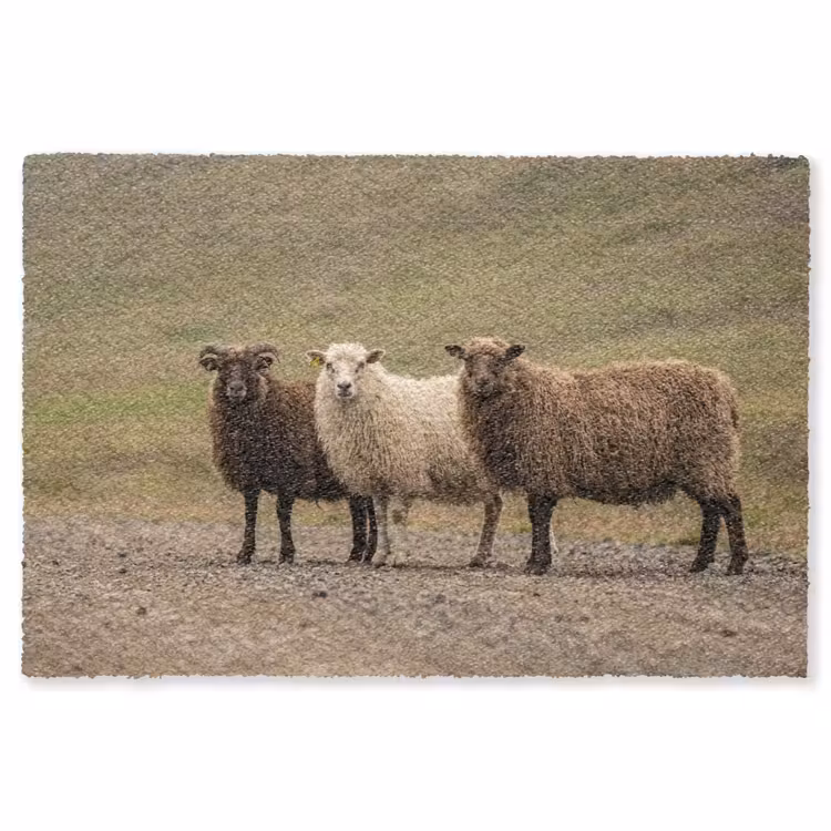 Schapen - Bruin - Wit - Grindpad Vloerkleed Rechthoek klein -3d