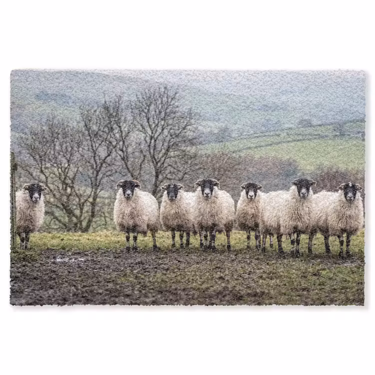 Schapen - Rij - Weide - Dieren - Platteland Vloerkleed Rechthoek klein -3d