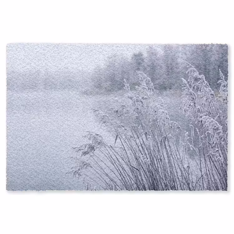 Riet - Bevroren - Winter - Natuur Vloerkleed Rechthoek klein -3d