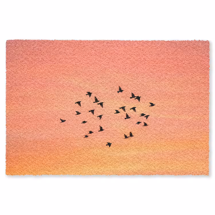 Zwerm - Vogels - Oranje Vloerkleed Rechthoek klein -3d