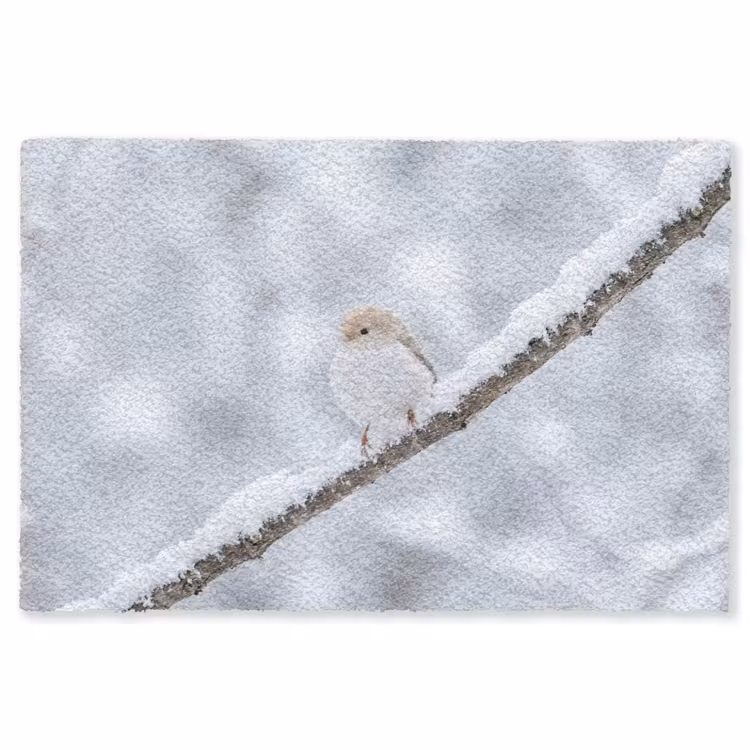 Vogeltje - Sneeuw - Tak - Winter - Zacht Vloerkleed Rechthoek klein -3d