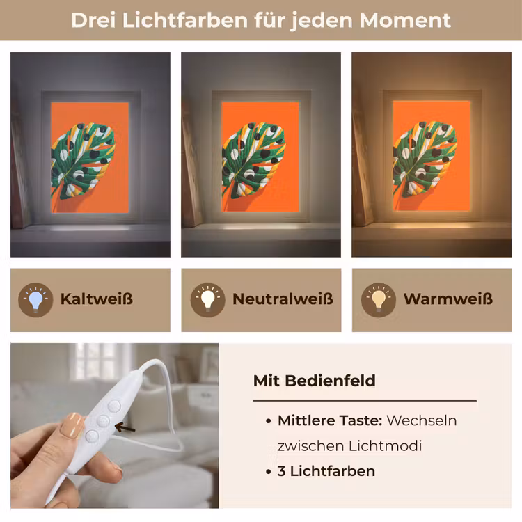 Blad - Oranje - Stippen - Kleurrijk Light Box met kabel (Tafellamp) klein -USP_lichtkleurDE