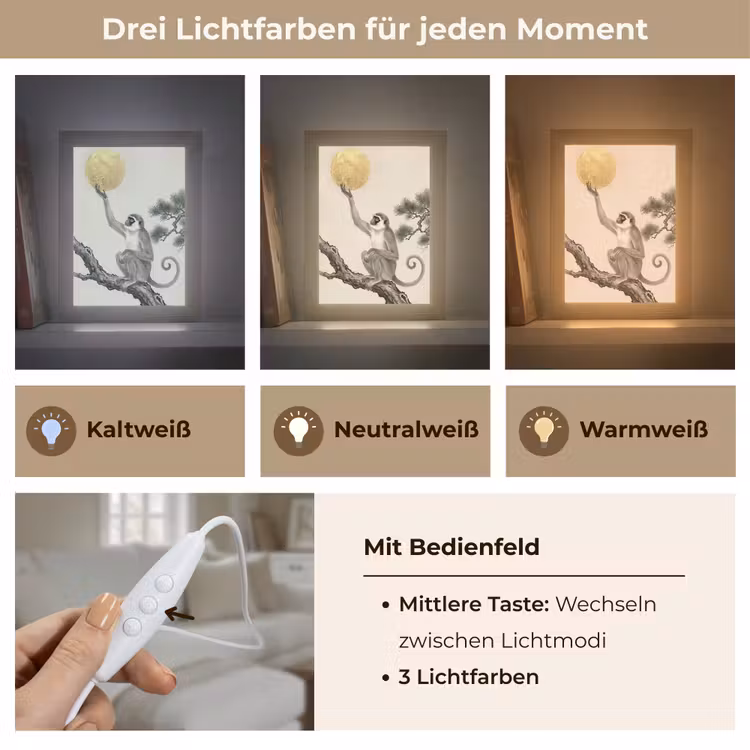 Aap - Maan - Goud Light Box met kabel (Tafellamp) klein -USP_lichtkleurDE