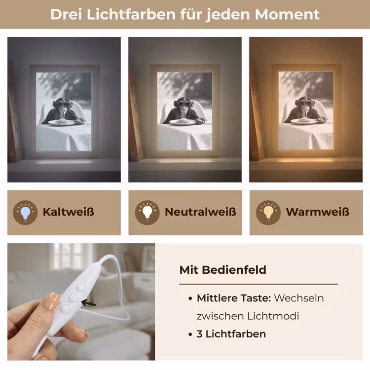 Aap - Spaghetti - Zonnebril - Zwart wit - Cool - Dier Light Box met kabel (Tafellamp) klein -USP_lichtkleurDE