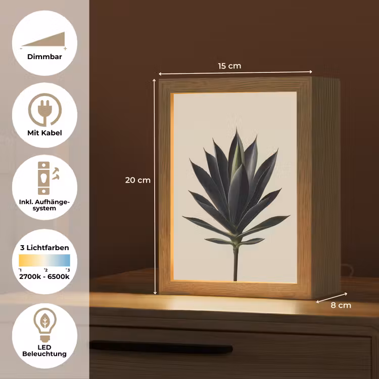 Agaveplant - Symmetrisch - Groen Light Box met kabel (Tafellamp) klein -USP_DE