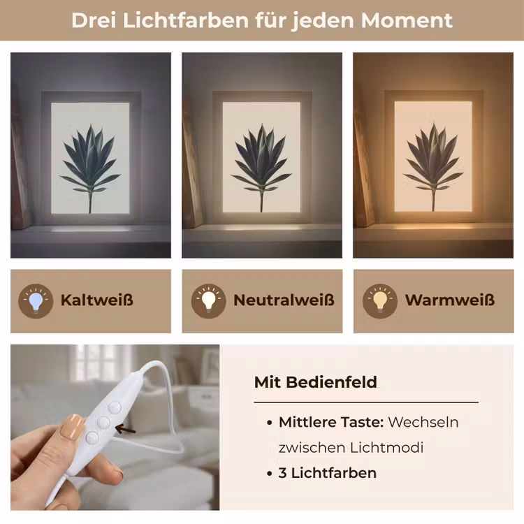 Agaveplant - Symmetrisch - Groen Light Box met kabel (Tafellamp) klein -USP_lichtkleurDE