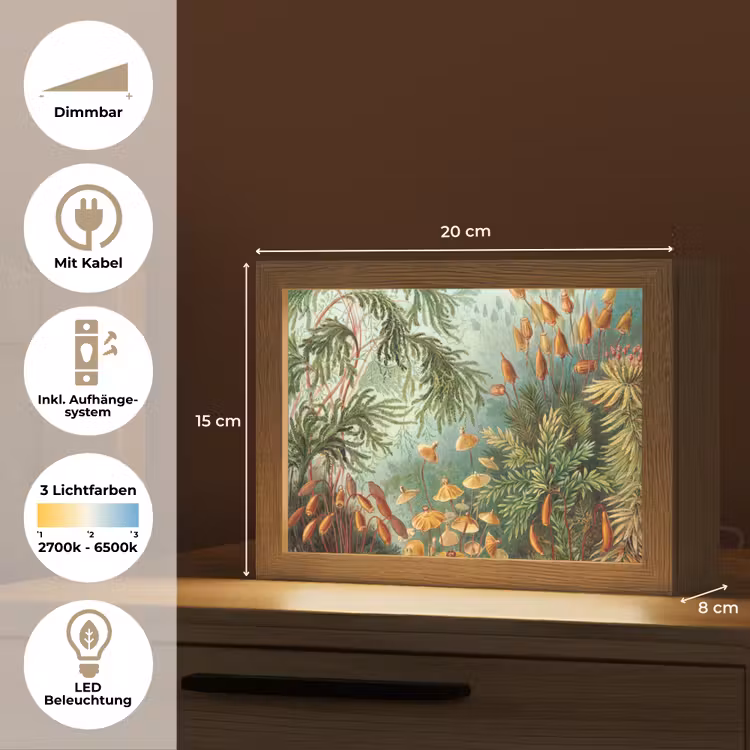 Oude meesters - Kunst - Muscinae - Haeckel Light Box met kabel (Tafellamp) klein -USP_DE