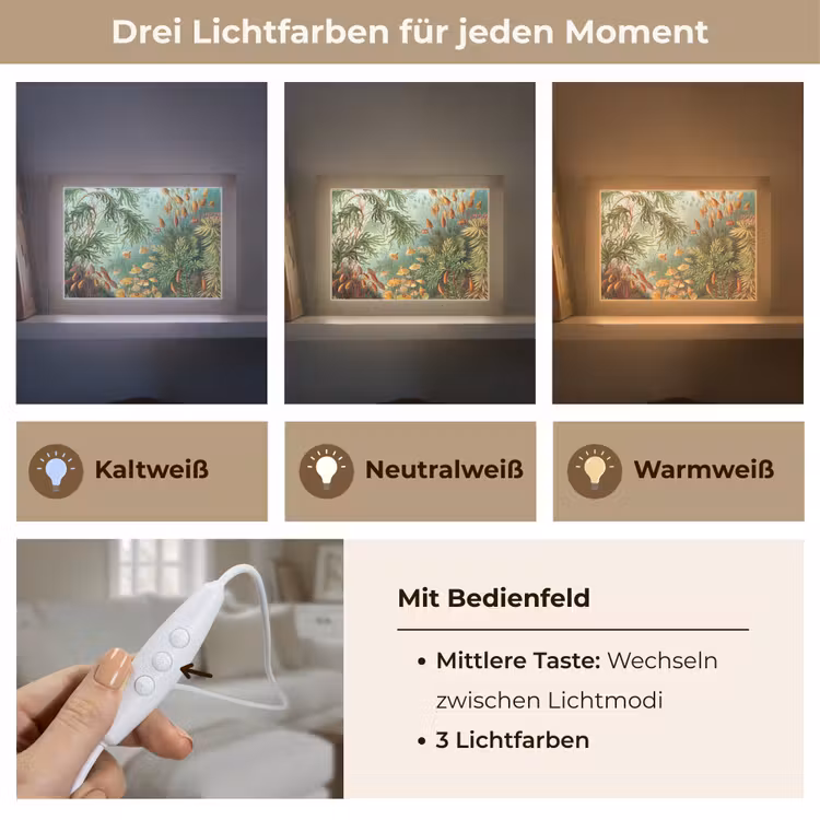 Oude meesters - Kunst - Muscinae - Haeckel Light Box met kabel (Tafellamp) klein -USP_lichtkleurDE