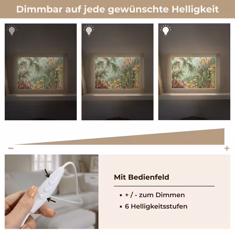 Oude meesters - Kunst - Muscinae - Haeckel Light Box met kabel (Tafellamp) klein -USP_dimbaarDE