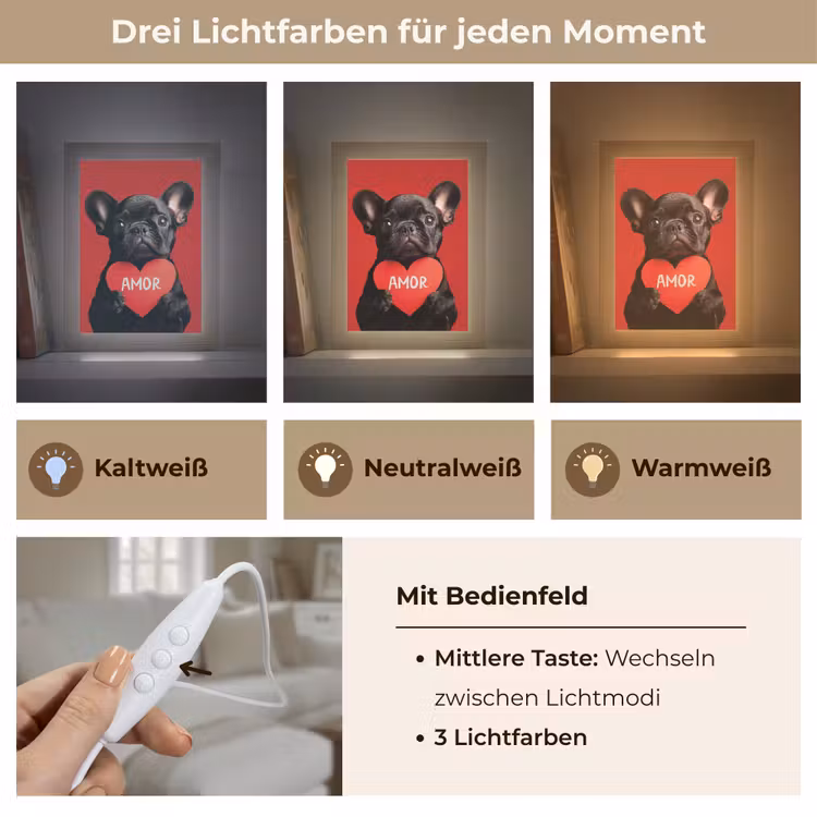 Amor - Hond - Hartje - Rood Light Box met kabel (Tafellamp) klein -USP_lichtkleurDE