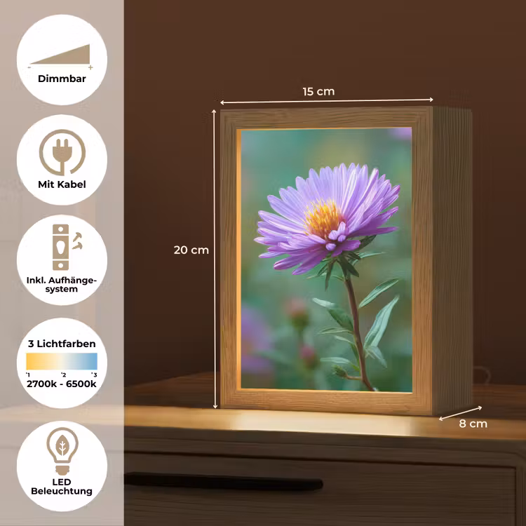 Aster - Paars - Bloem - Blaadjes Light Box met kabel (Tafellamp) klein -USP_DE