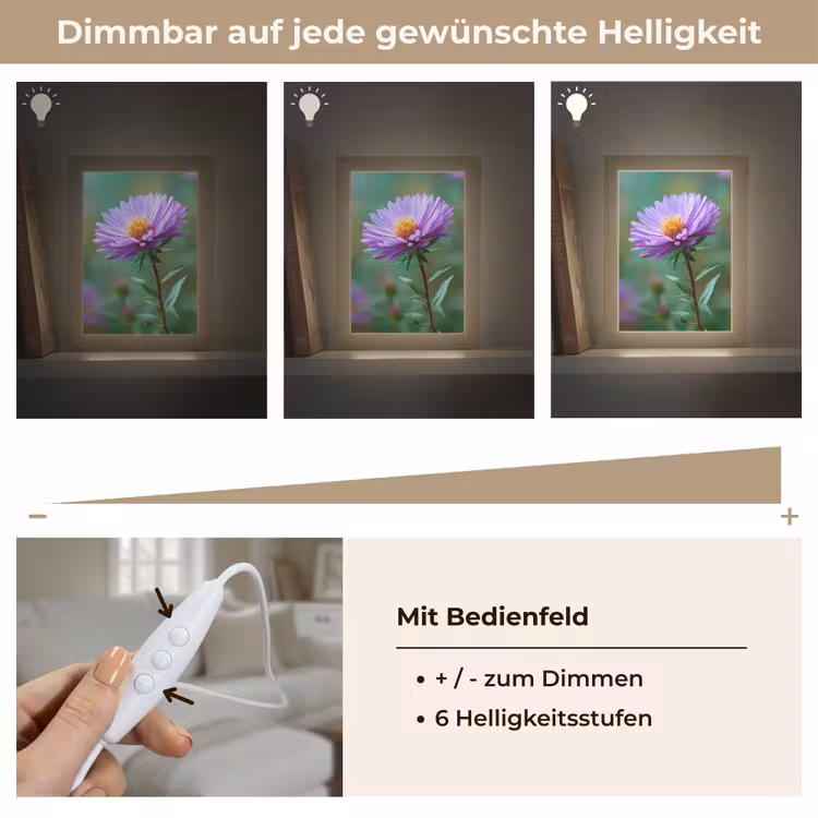 Aster - Paars - Bloem - Blaadjes Light Box met kabel (Tafellamp) klein -USP_dimbaarDE