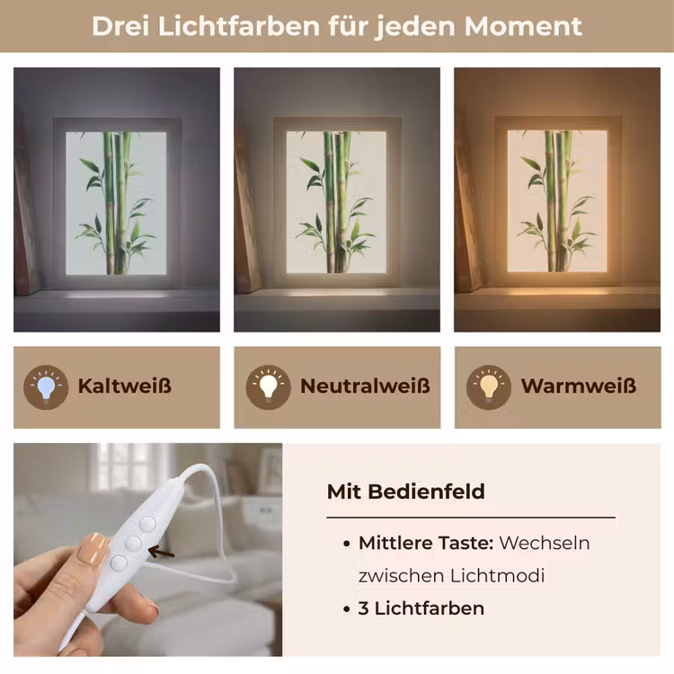 Bamboestengels - Sierlijk - Groen Light Box met kabel (Tafellamp) klein -USP_lichtkleurDE