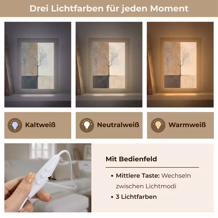 Boom - Vlakken - Takken - Kleurverloop Light Box met kabel (Tafellamp) klein -USP_lichtkleurDE