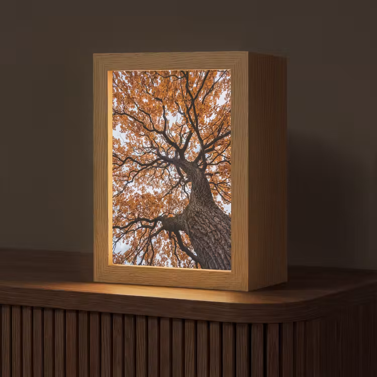 Boom - Bladerdak - Herfst - Oranje - Sfeervol Light Box met kabel (Tafellamp) klein -z3d_website