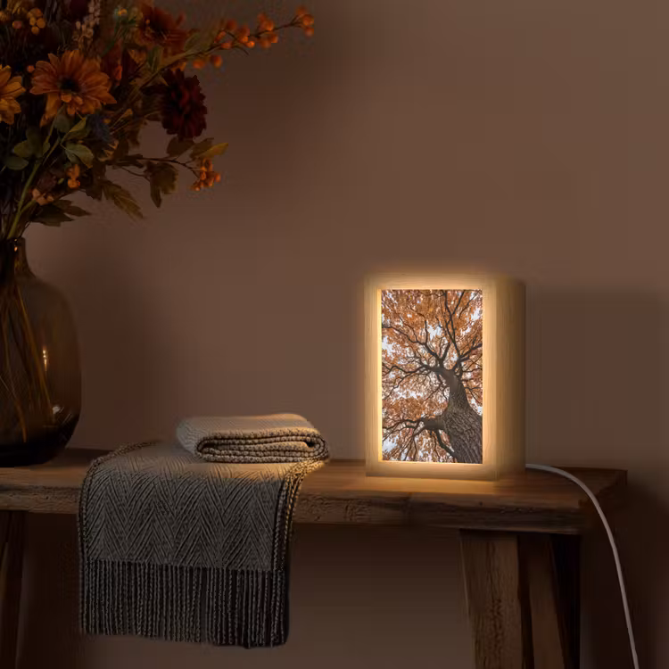 Boom - Bladerdak - Herfst - Oranje - Sfeervol Light Box met kabel (Tafellamp) klein -sfeer4