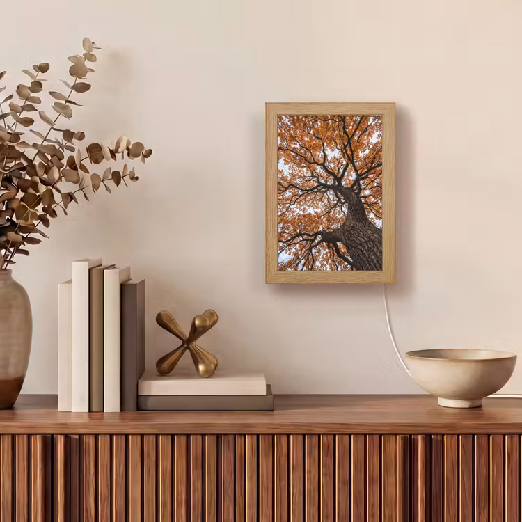Boom - Bladerdak - Herfst - Oranje - Sfeervol Light Box met kabel (Tafellamp) klein -sfeer2