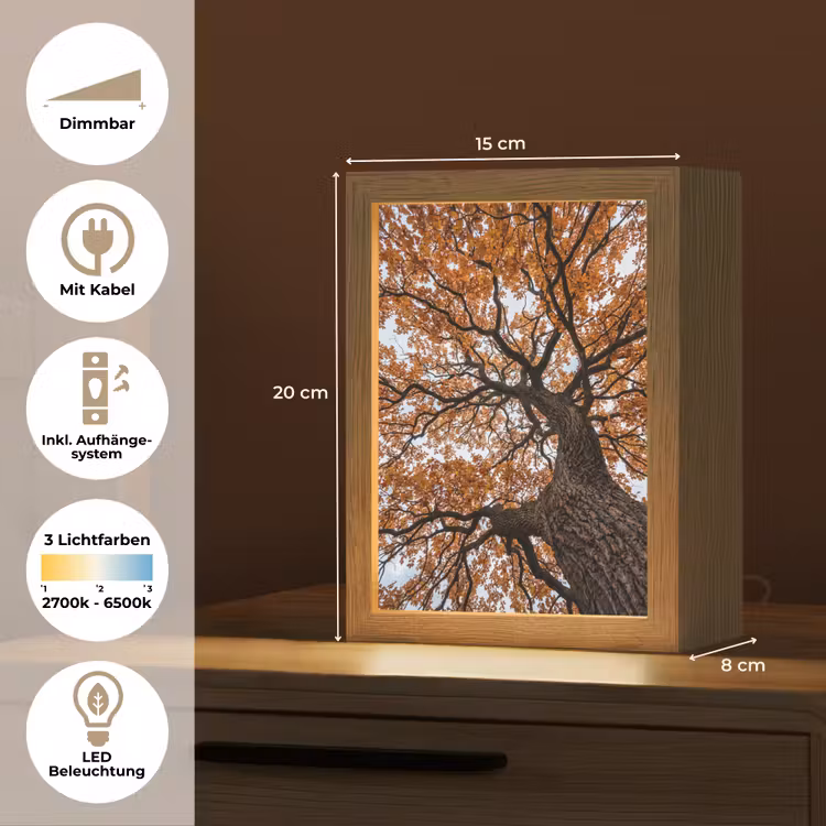Boom - Bladerdak - Herfst - Oranje - Sfeervol Light Box met kabel (Tafellamp) klein -USP_DE