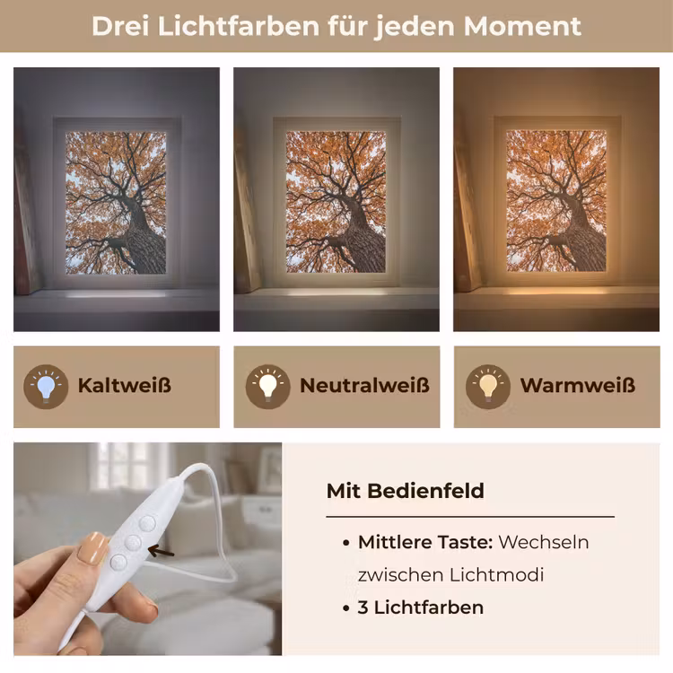 Boom - Bladerdak - Herfst - Oranje - Sfeervol Light Box met kabel (Tafellamp) klein -USP_lichtkleurDE