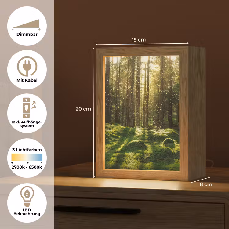 Bomen - Bos - Mos - Planten - Zon - Natuur Light Box met kabel (Tafellamp) klein -USP_DE