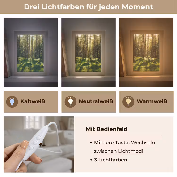 Bomen - Bos - Mos - Planten - Zon - Natuur Light Box met kabel (Tafellamp) klein -USP_lichtkleurDE