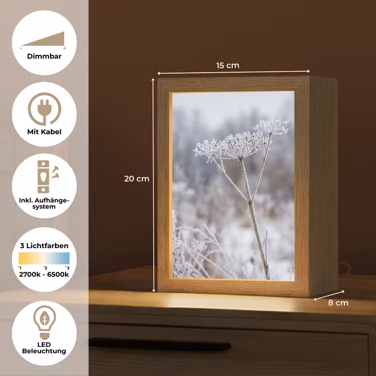 Schermbloem - Rijp - Kristallen - Winter - Delicaat Light Box met kabel (Tafellamp) klein -USP_DE