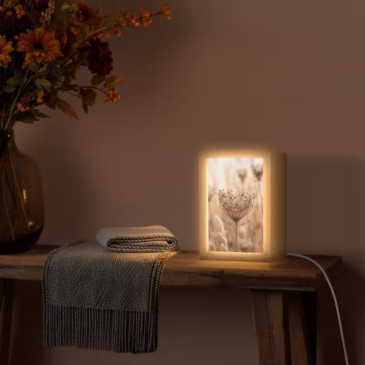Schermbloem - Droogbloem - Winter - Beige - Minimalistisch Light Box met kabel (Tafellamp) klein -sfeer4