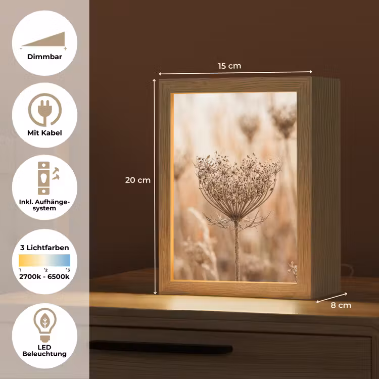 Schermbloem - Droogbloem - Winter - Beige - Minimalistisch Light Box met kabel (Tafellamp) klein -USP_DE