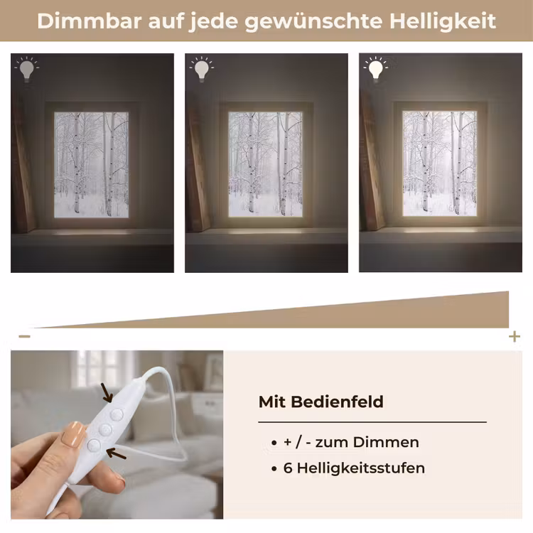 Berkenbomen - Sneeuw - Winter - Bos - Wit Light Box met kabel (Tafellamp) klein -USP_dimbaarDE