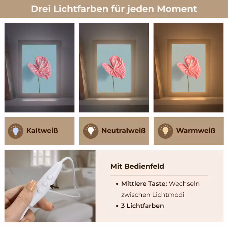 Blad - Anthurium - Stippen - Roze Light Box met kabel (Tafellamp) klein -USP_lichtkleurDE