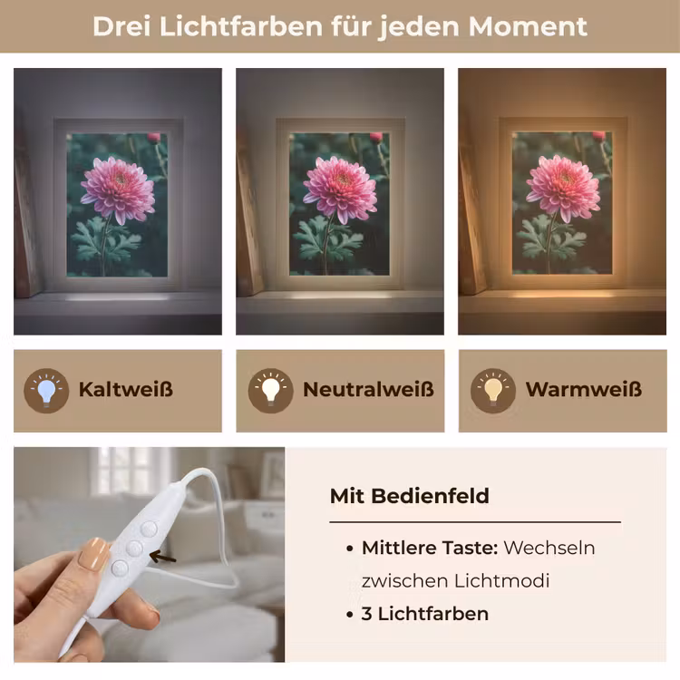 Blad - Chrysant - Roze - Schaduw Light Box met kabel (Tafellamp) klein -USP_lichtkleurDE