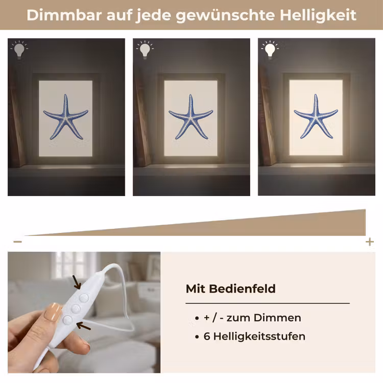 Blauwe zeester - Minimalistisch - Beige Light Box met kabel (Tafellamp) klein -USP_dimbaarDE