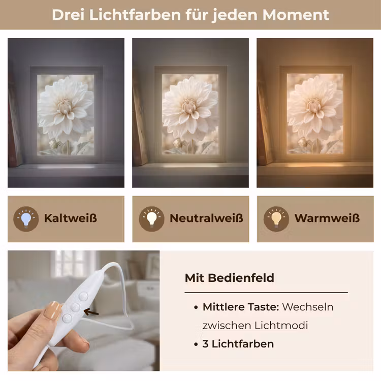 Bloem - Dahlia - Wit Light Box met kabel (Tafellamp) klein -USP_lichtkleurDE