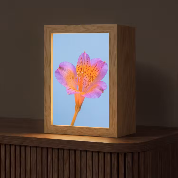 Bloem - Detail - Kleurrijk Light Box met kabel (Tafellamp) klein -z3d_website